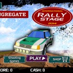 Rally Stage Screenshot